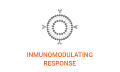 Liposomes - Hollow Nanospheres for Immunomodulating Response