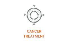 Liposomes - Hollow Nanospheres for Cancer Therapy