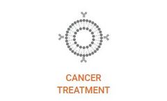 Exosomes - Extracellular Vesicles for Cancer Treatment