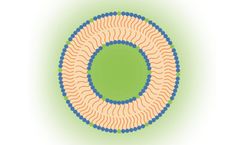 Nanovex - Model GF - Pronanosome