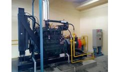 Biogas Generators