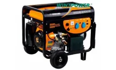 Wintpower - Model WT6500CL - Portable Gasoline Generator for Home Use - 10kVA