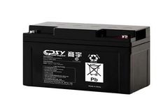 CPSY - 12V UPS Battery