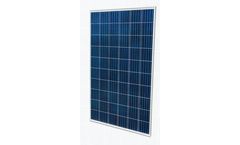 CPSY - Polycrystalline Solar Panel