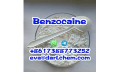 Purity Degree 99% CAS No. 94-09-7 Benzocaine powder Salt