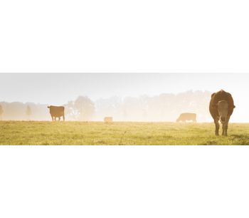 Gas analyzers and monitoring systems for greenhouse gases from ruminants - Monitoring and Testing - Agriculture Monitoring and Testing