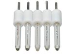 Gold Micro Electrode 40 µm