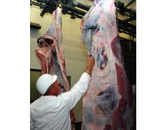 Oil skimmers, inc. solutions guide: Slaughterhouse industry - Case study