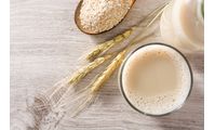 Industrial Production of Plant-based Milk Alternatives