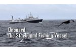 Processing Wild Alaskan Pollock onboard the Starbound Fishing Vessel - Video