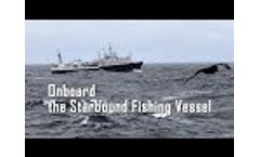 Processing Wild Alaskan Pollock onboard the Starbound Fishing Vessel - Video