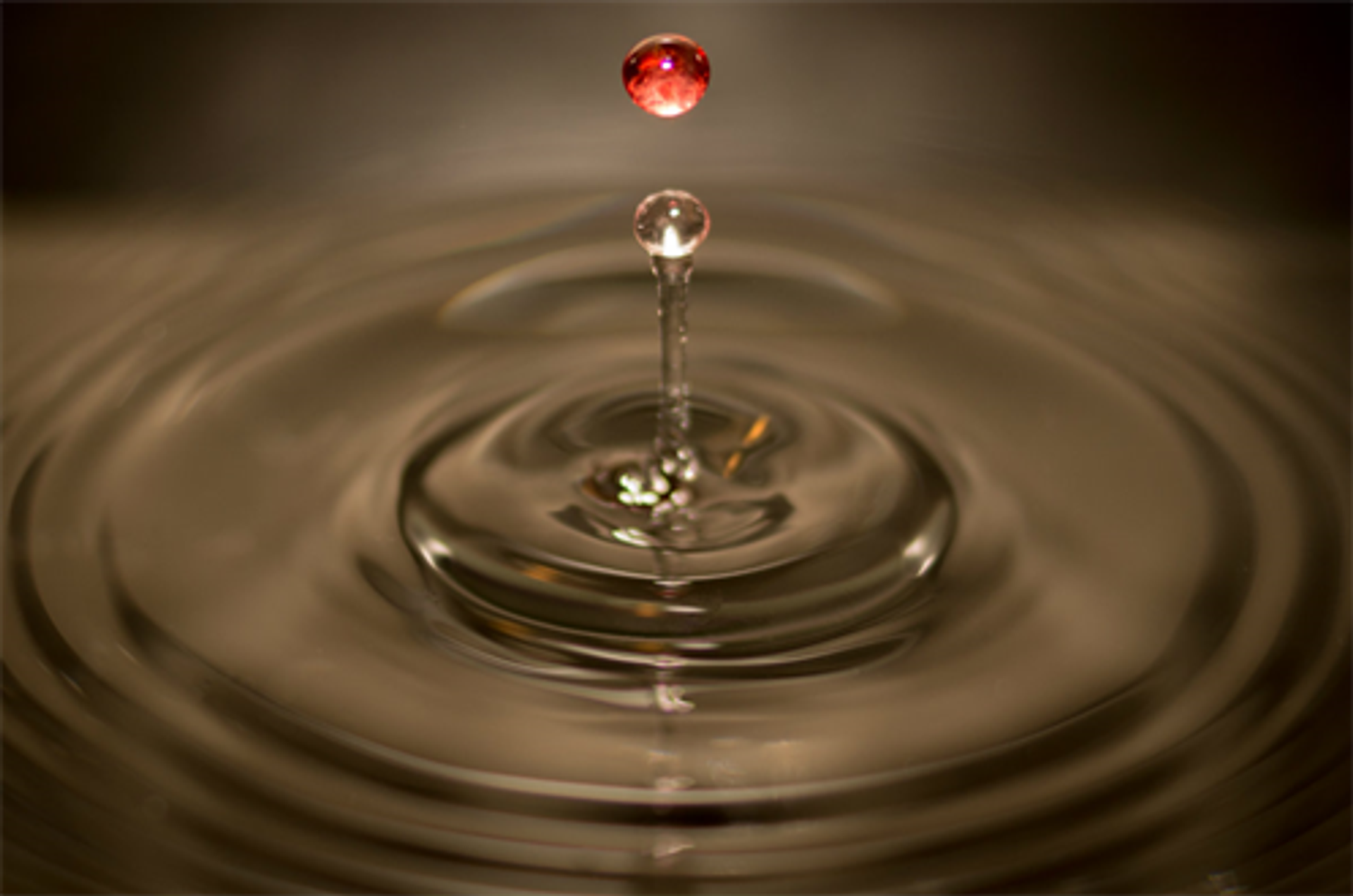 Enviro Footloose FF104B RV Waste Equipment RV Sewer Caps & Dump Station Lids 4" Blue