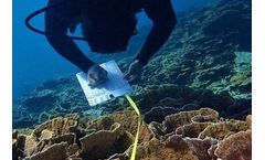 Project - Reef Monitoring