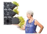 Vertical Gardens with Irrigation and Anchoring System
