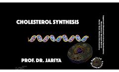 	Cholesterol Synthesis And Clinical Correlations - Video