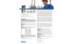 GasBadge - Model Pro - Personal Single Gas Monitor System - Specifications Sheet