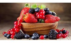 Heat Exchangers Solutions for Fruit Industry