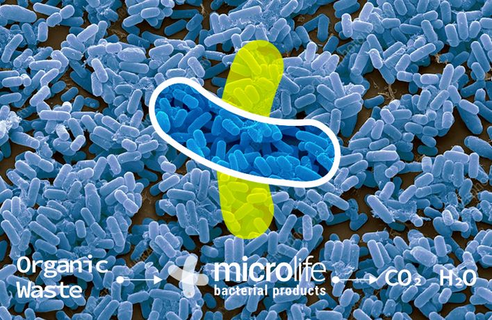 Microlife Biotech Biotechnological And Microbial-Based Products