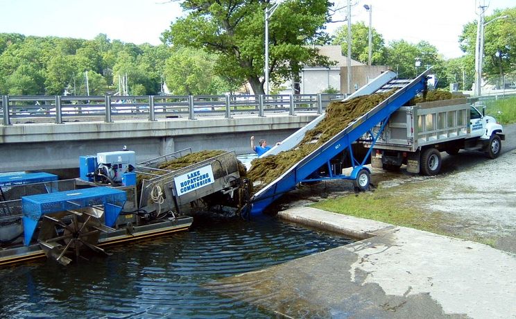 Aquatic Offloading Conveyors-1