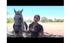 Horse Arena Dust - What are you breathing? Video