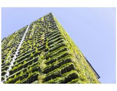 Decarbonizing buildings: An all-electric, digital future