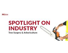 Noise and tree surgery: how does noise impact those in the tree surgery industry?