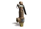 Model SRV - L - Bronze Safety Relief Valve with Manual Lever