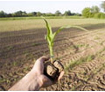 Food Security - an issue for the UK too, says Soil Association