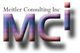 Meitler Consulting, Inc. (MCI)