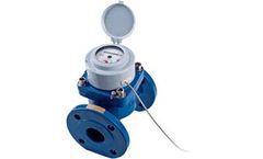 Bell Flow - Model WPI-SDC-65 - Dry Dial Flanged Irrigation Water Meter