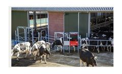 Grazeway - Automatic Milking System