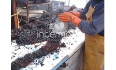 Intermas - Mussel Farming Nets
