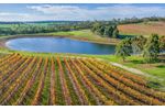 Algae and biofilm ultrasonic technology solutions for wineries industry - Food and Beverage - Winemaking