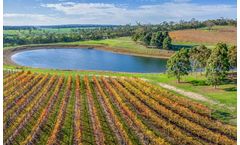 Algae and biofilm ultrasonic technology solutions for wineries industry