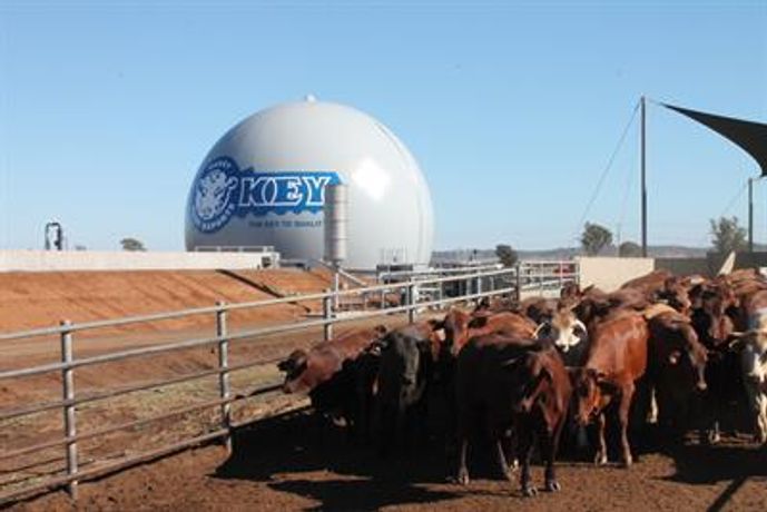 GWE’s ​biogas in a ​balloon ​continuous to ​boost both ​environmental ​and business ​performance at ​NH Foods ​Australia ​facility ​-1