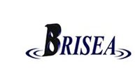 BRISEA Group, Inc.