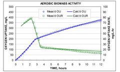 Oxygen monitoring from aerobic and anaerobic for biomass activity tests
