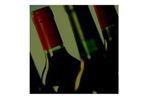 Evaporators and concentrators for enology (wine production) - Food and Beverage - Beverage