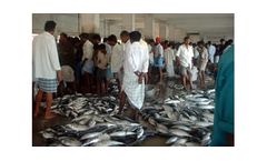 Fisheries Economics, Processing, Marketing and Trade