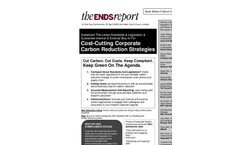 Cost-Cutting Corporate Carbon Reduction Strategies Brochure (PDF 115 KB)
