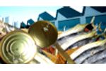 Wastewater treatment for the canning and fish industry - Agriculture - Aquaculture