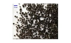 Colsen - Anaerobic Granular Sludge - Active Biomass for Inocculation and Kick Start UASB
