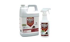 Kills Bed Bugs Spray