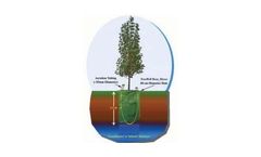 TreeWell - Engineered Phytoremediation System