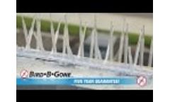 Introduction to Plastic Bird Spikes Video