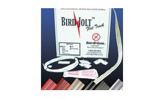 Bird Jolt - Flat Track Kit