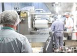 Facing hazards in the fast-paced food industry