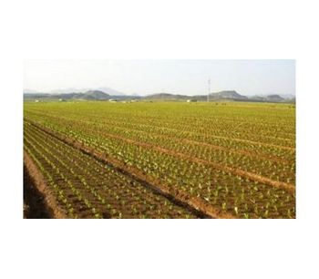Water filtration systems for sub-surface drip irrigation - Agriculture - Irrigation