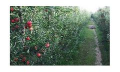 Irrigation solutions for Apple Crops