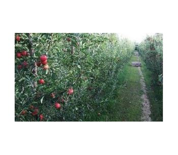 Irrigation solutions for Apple Crops - Agriculture - Crop Cultivation
